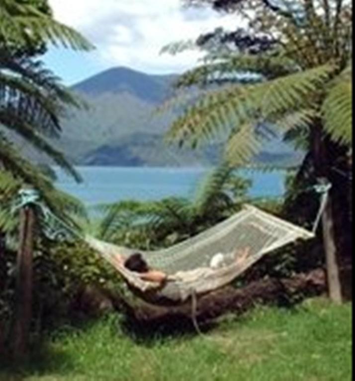 Lochmara Lodge - 20Mins By Boat From Picton Lochmara Bay Εξωτερικό φωτογραφία